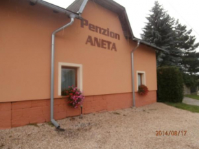 Penzion Aneta